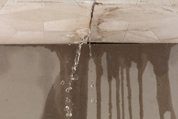 Professional Water Extraction technician working in Clifton Heights, PA